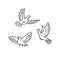 Urban birds wild pigeons flying line art style character vector black white isolated illustration.