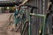 Urban closeup shot of bicycles parked at the railings of a bridge