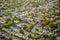 Urban community houses from aerial view