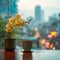 Urban elegance coffee, phalaenopsis orchid, and the citys awakening