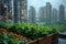 Urban farming endures the rain, with verdant lettuce and ripe tomatoes against the backdrop of towering city apartments