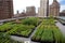 Urban farming is growing plants within a city. Urban farming traditional farm plots, community gardens. City farms, Urban farms