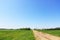 Urban farmland landscape