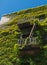 Urban fire escape, vine covered building