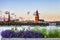 Urban flower pots with Riga old town skyline