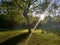 Urban forest in Valencia`s spring time