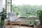 Urban jungle apartment. Grey armchair near big panoramic window, indoor plants, monstera, palm trees. Biophilia design