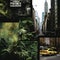 Urban Jungle Inspired Moodboard: Concrete Jungle Theme