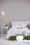 Urban jungle and white balloons in elegant bedroom interior with king size bed and copy space on the empty grey wall