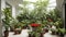 Urban jungle. Winter garden with plants, flowers. Garden in the house