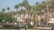 Urban landscape with city street traffic, modern buildings and green palms.