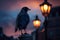 Urban majestic crow in dark illuminated street. Generate ai