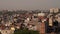 Urban Oasis Houses Amidst Greenery Near Tughlaqabad Fort