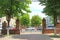 Urban panorama with chestnut trees in city park and cars. Urban view