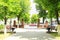 Urban panorama with chestnut trees in city park and cars. Urban view