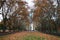 Urban park with central lawn flanked by tall yellow trees, walkways and fallen leaves on ground in autumn