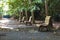 Urban park with green trees and wooden benches. Park alley