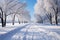 Urban park landscape snow laden trees provide text friendly background space