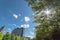 Urban park tree canopy with sunburst and modern building