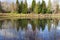 Urban pond in Portland Oregon.