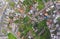 Urban Rooftops, aerial view In Banos de Agua Santa