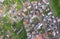 Urban Rooftops aerial view In a small latin town