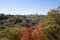 Urban skyline with autumn leaf color in the valley