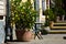 urban street detail in bright summer lihgt with gren plants and concrete steps