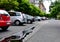 Urban streetscape. lush green trees. parked cars. perspective view.