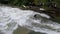 Urban surfers ride the standing wave on the Eisbach River, Munich, Germany
