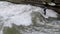 Urban surfers ride the standing wave on the Eisbach River, Munich, Germany. Slow Motion