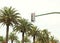 Urban traffic light against the sky and palm trees