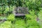 Urban vegetable garden with bench