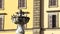 Urban view Slowmotion of pigeons on a medieval fountain FDV