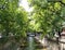 Urban water channel surrounded by trees, CÃ³rdoba, Argentina.