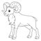 Urial Animal Coloring Page for Kids