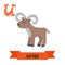 Urial. U letter. Cute children animal alphabet in vector. Funny