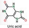 Uric acid molecule. It is heterocyclic compound, crystalline product of protein metabolism, found in the blood and urine. Skeletal