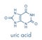 Uric acid molecule. High blood levels lead to gout disease. Skeletal formula.