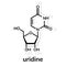 Uridine chemical formula
