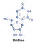 Uridine nucleoside rna