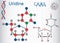 Uridine - pyrimidine nucleoside molecule, is important part