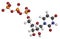 Uridine triphosphate (UTP) nucleotide molecule. Building block of RNA. Atoms are represented as spheres with conventional color