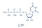 Uridine triphosphate UTP nucleotide molecule. Building block of RNA. Skeletal formula.