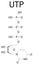 Uridine triphosphate or UTP nucleotide molecule. Building block of RNA. Skeletal formula.