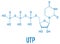 Uridine triphosphate or UTP nucleotide molecule. Building block of RNA. Skeletal formula.