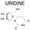 Uridine, Urd, U nucleoside molecule. Building block of RNA. Skeletal formula. Chemical structure