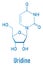 Uridine, Urd, U nucleoside molecule. Building block of RNA. Skeletal formula. Chemical structure