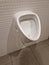 urinal lined with white ceramic tiles square texture mosaic.