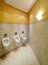 Urinals in toilet